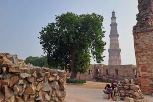 Delhi: Privat tur på en hel eller en halv dag i det gamle og det nye Delhi