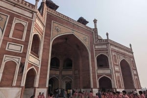 Delhi: Privat tur på en hel eller en halv dag i det gamle og det nye Delhi