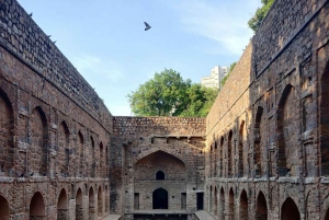 Delhi: prywatna wycieczka z przewodnikiem po starej i nowej części miasta