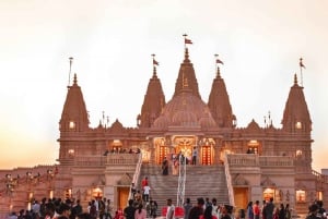 Delhi: prywatna wycieczka z przewodnikiem po starej i nowej części miasta