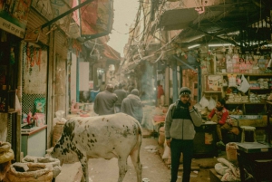 Delhi: Tour Privado Guiado Personalizado Basado en Consejos en Delhi