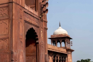 Delhi: tour fotográfico privado guiado por Instagram en Delhi