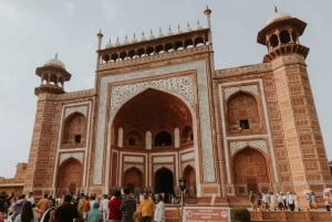 Delhi: tour privato guidato della città vecchia e nuova di Delhi