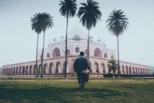 Delhi: tour privato guidato della città vecchia e nuova di Delhi