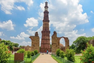 Delhi: tour panoramico privato guidato della Vecchia e Nuova Delhi