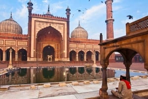 Delhi: Alt- und Neu-Delhi Private geführte Ganz- oder Halbtagestour