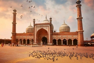 Delhi: tour privato guidato dei templi e dei luoghi spirituali in auto