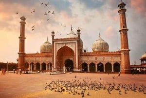 Delhi : visite guidée privée des temples et de la spiritualité en voiture