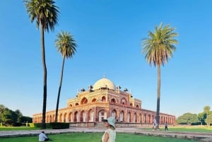 Delhi: Private Half Day Delhi City Guided Tour By Car