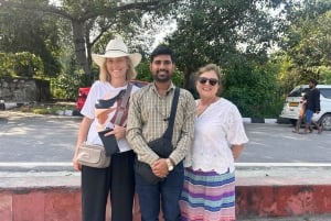 Delhi: prywatna półdniowa wycieczka z przewodnikiem po mieście samochodem