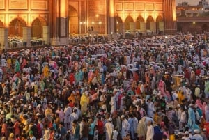 Delhi: Privat halvdagstur i Delhi med hämtning på hotellet