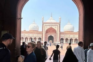 Delhi: Privat halvdagstur i Delhi med hämtning på hotellet
