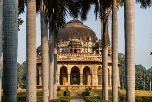 Delhi: tour guidato della vecchia e della nuova Delhi di una giornata o di mezza giornata