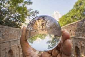 Delhi: tour guidato della vecchia e della nuova Delhi di una giornata o di mezza giornata