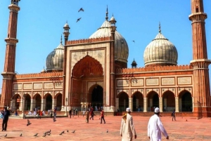 Delhi: Yksityinen puolen päivän opastettu kiertokäynti hengellisissä kohteissa autolla