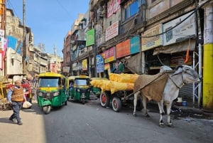 Delhi: Yksityinen puolen päivän tai koko päivän kiertoajelu vanhassa ja uudessa Delhissä