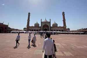Delhi: Yksityinen puolen päivän tai koko päivän kiertoajelu vanhassa ja uudessa Delhissä