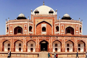 Delhi: Private Half Day Tour