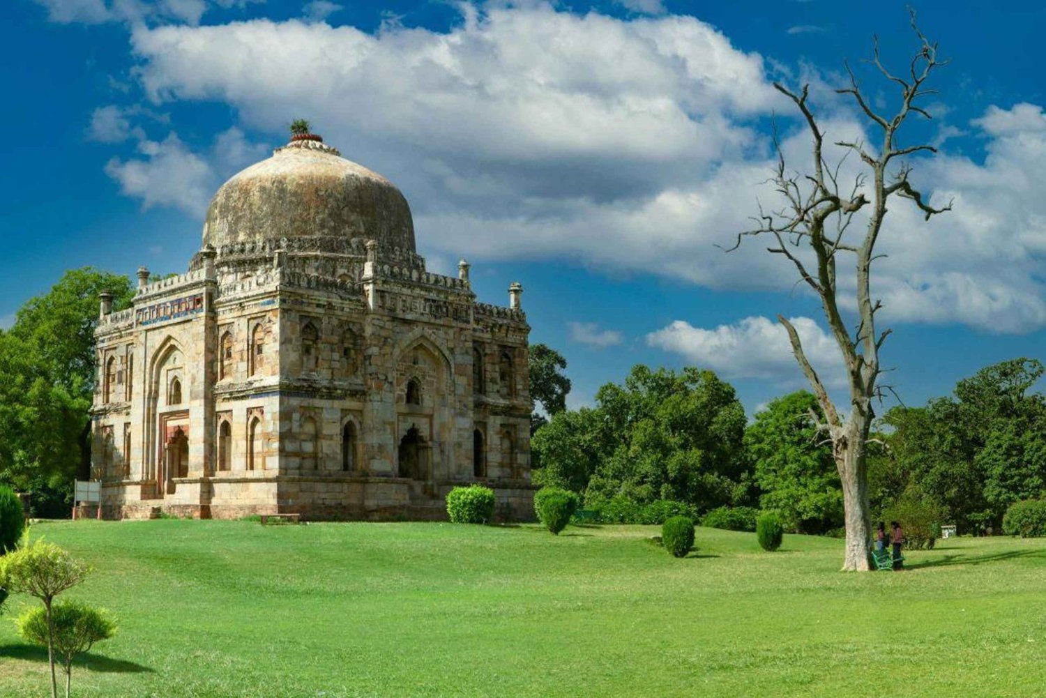Delhi: Private Luxury Tour with Guide and Lunch