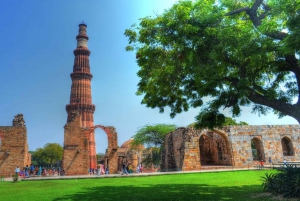 Delhi : visite privée de l'ancienne et de la nouvelle Delhi d'une journée ou d'une demi-journée