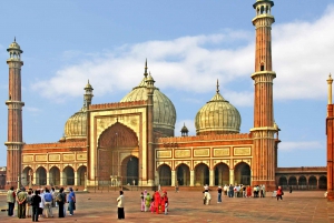 Delhi : visite privée de l'ancienne et de la nouvelle Delhi d'une journée ou d'une demi-journée