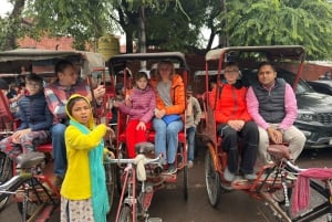 Delhi: privé dagtour of halve dagtour door Oud en Nieuw Delhi