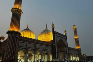 Delhi : visite privée d'une journée ou d'une demi-journée du Vieux et du Nouveau Delhi