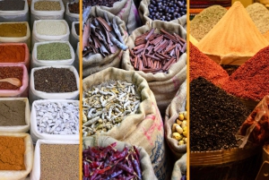 Delhi bytur: Gamle, nye eller begge deler – halv- og heldagsalternativer