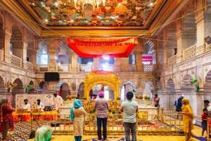 Delhi bytur: Gamle, nye eller begge deler – halv- og heldagsalternativer