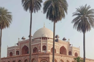 Delhi: Excursão particular de meio dia ou dia inteiro pela Velha e Nova Deli