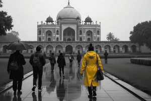Delhi: Excursão particular de meio dia ou dia inteiro pela Velha e Nova Deli