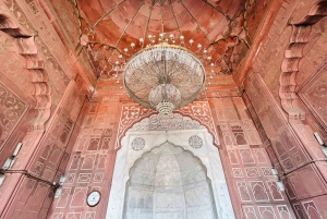 Delhi: Excursão particular de meio dia ou dia inteiro pela Velha e Nova Deli