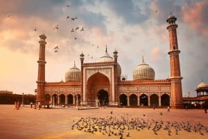Delhi: Private Ganztagestour oder Halbtagestour durch Alt- und Neu-Delhi