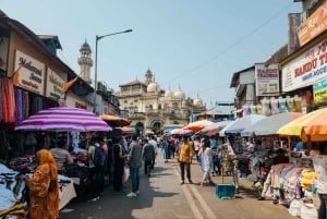 Delhi: prywatna wycieczka z przewodnikiem po starej i nowej części miasta