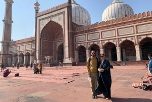 Delhi: privé-dagtour of -halve dagtour door Oud en Nieuw Delhi