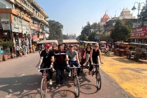 Delhi: privé-dagtour of -halve dagtour door Oud en Nieuw Delhi