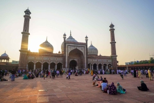 Delhi: Privé-tour van een halfdaagse of dagvullende tour door Oud en Nieuw Delhi