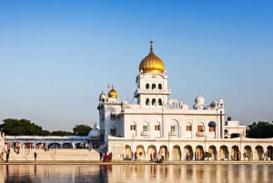 Delhi: Private Old & New Delhi Tour - Full or Half-Day tour