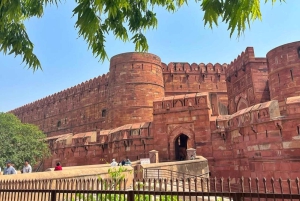 Delhi: Privat tur i gamla och nya Delhi – hel- eller halvdagsutflykt