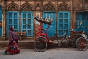 Delhi: Prywatna wycieczka po starej i nowej części Delhi – całodniowa lub wycieczka półdniowa