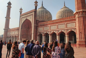 Delhi: Private Old & New Delhi Tour – Full or Half Day