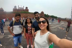 Delhi: tour privato della Vecchia e Nuova Delhi con auto e guida