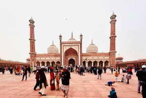 Delhi: Privat sightseeing heldagstur med guide i bil