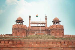 Delhi: Privat sightseeing heldagstur med guide i bil