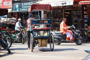 Delhi: Private Ganztagestour mit Guide im Auto