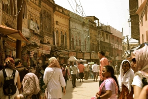 Delhi: Privat sightseeing heldagstur med guide i bil