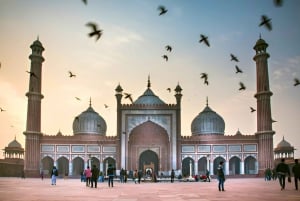 Delhi: Privat omvisning i bil med lunsj og inngang til åndelige steder