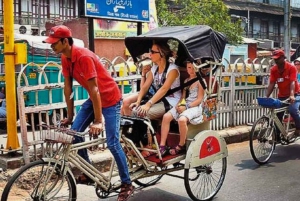 Delhi: privétour per auto langs spirituele bezienswaardigheden met lunch en entree