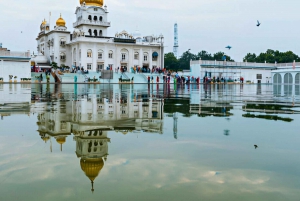 Delhi: tour privato in auto dei siti spirituali con pranzo e ingresso