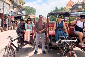 Delhi: privétour per auto langs spirituele bezienswaardigheden met lunch en entree